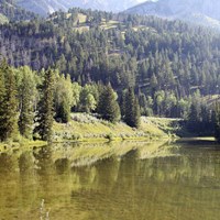 Reflections I Fine Art Print