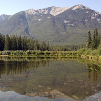 Reflections II Fine Art Print