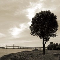 Silhouette II Fine Art Print