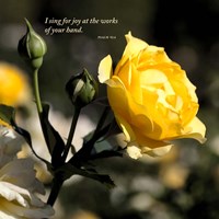 Summer Blooms Fine Art Print