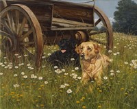 Rest Awhile Fine Art Print