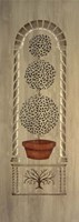 34 Topiary 3 Fine Art Print