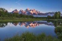 Schwabacher Alpenglow Fine Art Print