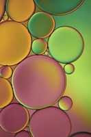 Green and Orange Drops Fine Art Print