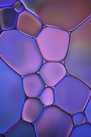 Purple Stained Glass Fine Art Print