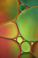 Stained Glass II Fine Art Print