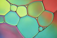 Stained Glass III Fine Art Print