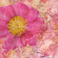 Peony - Feminine Beauty Fine Art Print