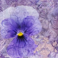 Viola - Secret Love Fine Art Print