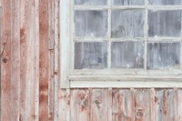 Little Windows I Fine Art Print