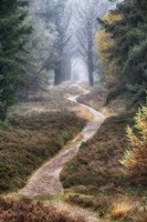 Hiking Trail Fine Art Print