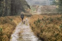 Walking the Dogs Fine Art Print