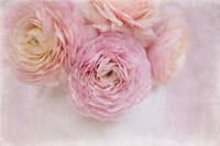 Chique Bouquet Fine Art Print