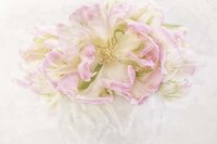 Pink Parrot Tulips Bouquet Fine Art Print