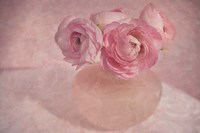 Pink Ranunculus Bouquet Fine Art Print
