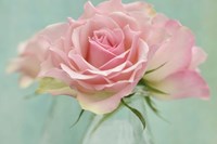 Pink Roses Fine Art Print