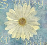 Daisy Fine Art Print