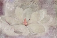 Magnolia Fine Art Print