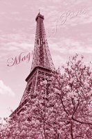 Eiffel Tower with Magnolia Pink Fine Art Print