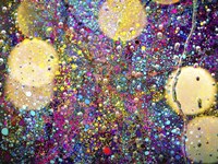 Party In The Rain Fine Art Print