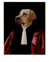 Advocate Fine Art Print