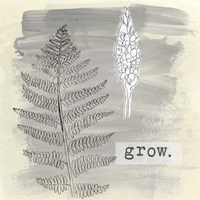 Garden Scrapbook I Fine Art Print