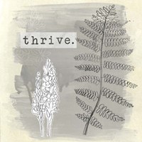 Garden Scrapbook II Fine Art Print