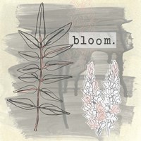 Garden Scrapbook III Fine Art Print