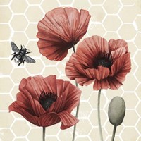 Poppy Buzz I Fine Art Print