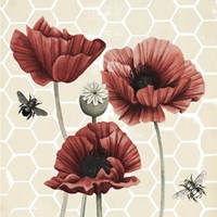 Poppy Buzz II Fine Art Print