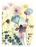 Garden Lace II Fine Art Print