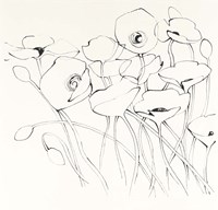 Black Line Poppies I Fine Art Print