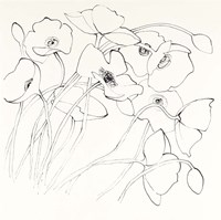 Black Line Poppies II Fine Art Print