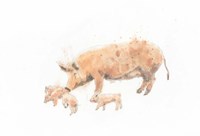 Pig and Piglet Fine Art Print