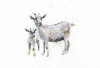 Goat and Kid Fine Art Print