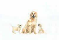 Dog and Puppies Fine Art Print