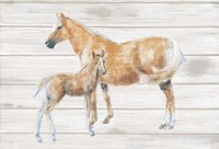 Horse and Colt on Wood Fine Art Print