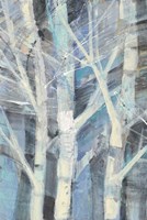 Winter Birches I Fine Art Print