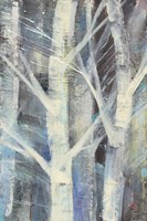 Winter Birches II Fine Art Print