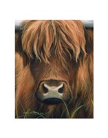 Cow Portrait Fine Art Print
