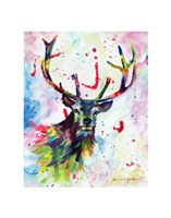 Color Stag Fine Art Print