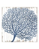 Seaside Coral Fine Art Print