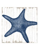 Seaside Starfish Fine Art Print