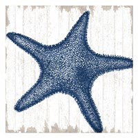 Seaside Starfish Fine Art Print