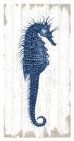 Seahorse in Blue I Fine Art Print