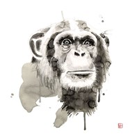 Chimp Fine Art Print