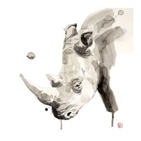 Rhino Fine Art Print
