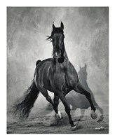 Struttin His Stuff Fine Art Print