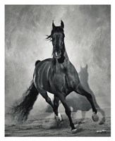 Struttin His Stuff Fine Art Print