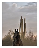 Serendipity Fine Art Print